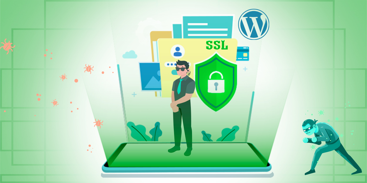 Can ssl certificates protect sensitive data